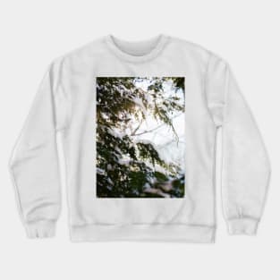 Snowday Crewneck Sweatshirt